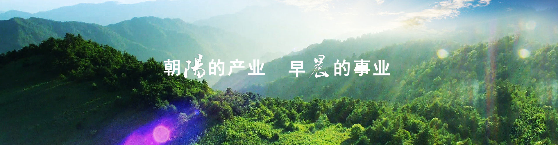 安康陽(yáng)晨集團(tuán)